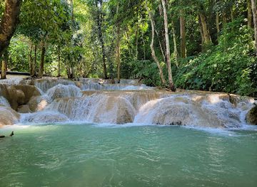 laos/southern-laos/landmark/tat-sae-waterfalls