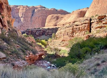 utah/canyonlands/landmark/morning-glory-arch