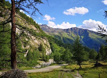 austria/hohe-tauern/landmark/larchenwald-glocknerspur