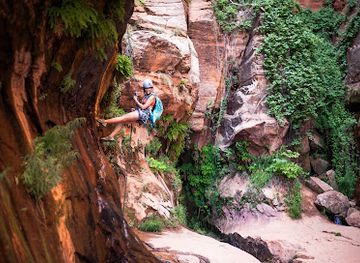 utah/dixie/landmark/zion-amazing-adventures