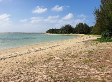 cook-islands/nikao/landmark/21-3-vaiana-s-bar-bistro