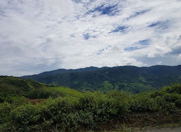 costa-rica/monteverde/landmark/wildlife-refuge-monteverde