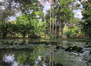colombia/cauca-valley/landmark/museum-sugarcane