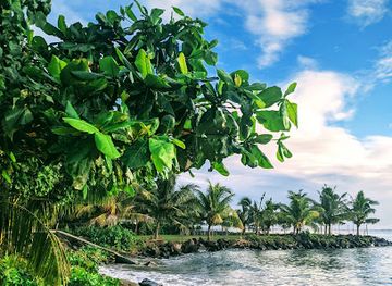 samoa/tuamasaga/landmark/vaiala-beach
