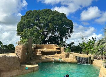 dominican-republic/punta-cana-bavaro/landmark/parque-tecnologico-road