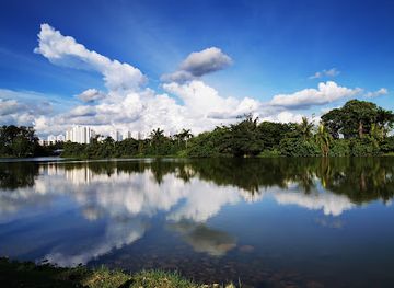 singapore/west-region/landmark/the-lone-tree