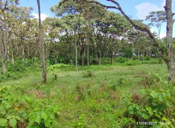 kenya/mount-elgon-national-park/landmark/mount-kenya