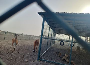 oman/ad-dakhiliyah-governorate/landmark/ostrich-park