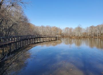 tennessee/hatchie-river-area/landmark/cypress-grove-nature-park
