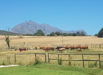 south-africa/cape-winelands/landmark/middelvlei-wine-estate