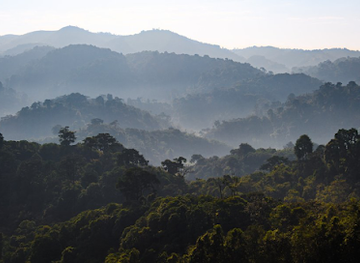 rwanda/northern-province/landmark/gishwati-mukura-national-park-and-biosphere-reserve