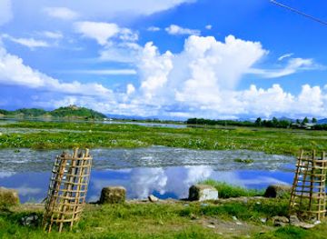 india/imphal/landmark/keibul-lamjao-national-park