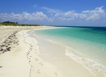 turks-and-caicos-islands/west-caicos/landmark/big-blue-collective