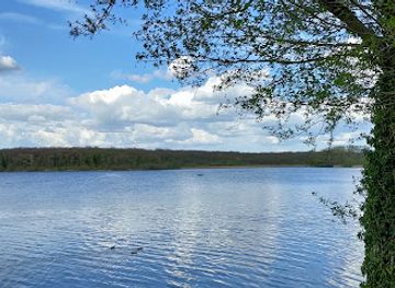 belgium/entre-sambre-et-meuse/landmark/lake-virelles