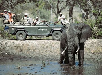 south-africa/kruger-national-park/landmark/kruger-park-safaris