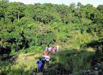 uganda/queen-elizabeth-national-park/landmark/mabira-central-forest-reserve