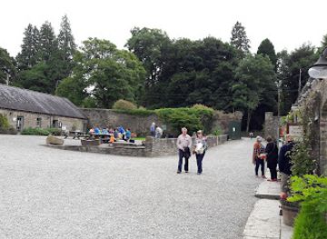 ireland/county-kilkenny/landmark/castlecomer-discovery-park