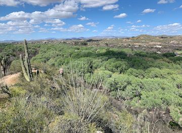 arizona/sonoran-desert/landmark/hassayampa-river-preserve