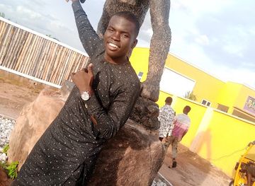 nigeria/yola/landmark/gorilla-park-yola