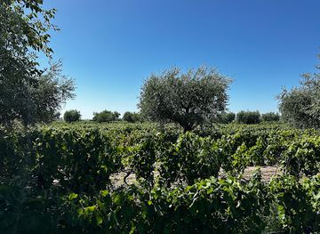 argentina/cuyo/landmark/zonda-cocina-de-paisaje