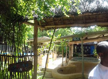 kenya/watamu/landmark/local-ocean-conservation