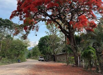 honduras/santa-barbara-region/landmark/el-triangulo-el-nispero