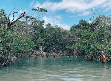 puerto-rico/caribbean-national-forest/landmark/la-jungla-beach