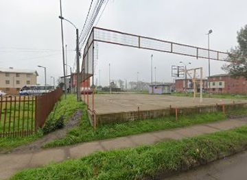 chile/maule-valley/landmark/ruinas-estatales