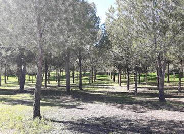 cyprus/paphos-forest/landmark/paphos-castle
