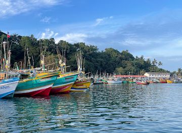 sri-lanka/mirissa/landmark/mirissa-water-sports-pvt-ltd