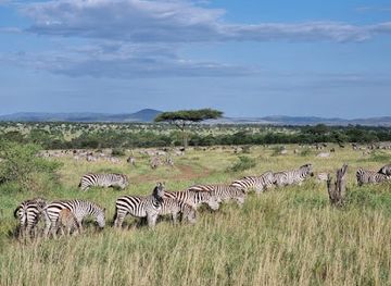 tanzania/arusha/landmark/mnyalu-safaris-trekking