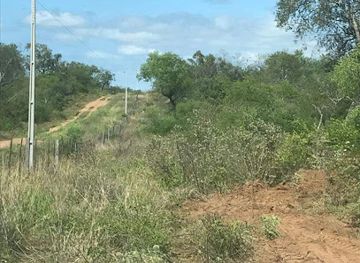 paraguay/lower-chaco/landmark/medanos-del-chaco-national-park