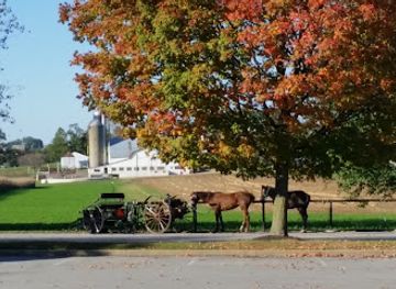 pennsylvania/amish-country/landmark/bird-in-hand-farmers-market