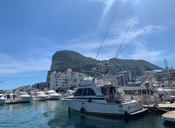 gibraltar/gibraltar-harbour/landmark/dolphin-adventure