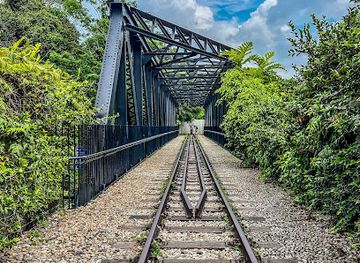 singapore/bukit-timah-nature-reserve/landmark/rail-corridor-central
