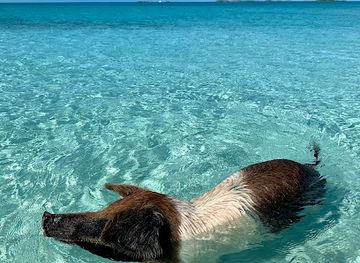 the-bahamas/exuma/landmark/roberts-island-adventures