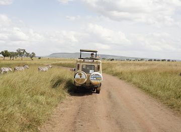 tanzania/kilimanjaro-region/landmark/tanzania-royal-tours-and-safaris-co-ltd-luxury-tanzania-safaris-kilimanjaro-climb-hiking-zanzibar-tour-company