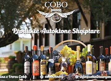 albania/northern-albania/landmark/cobo-winery