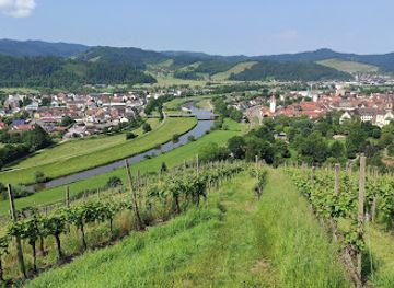 germany/freiburg/landmark/black-forest-tours