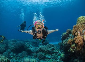 australia/ningaloo-reef/landmark/reef-experience