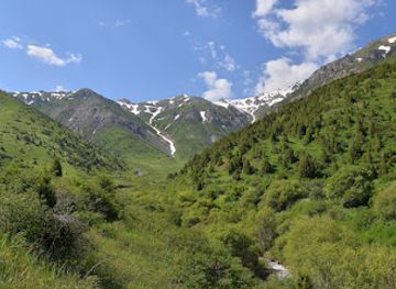 kazakhstan/tian-shan/landmark/aksu-zhabagly-nature-reserve