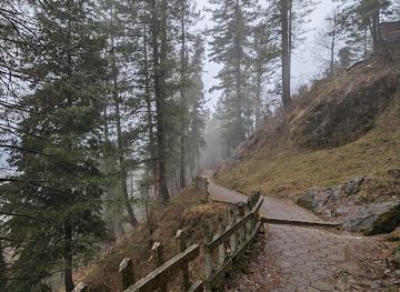 pakistan/murree/landmark/dairy-milk-trek