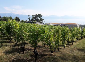 france/languedoc/landmark/colline-du-languedoc