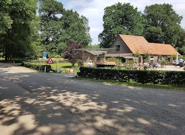 netherlands/betuwe/landmark/leuvenum-forest
