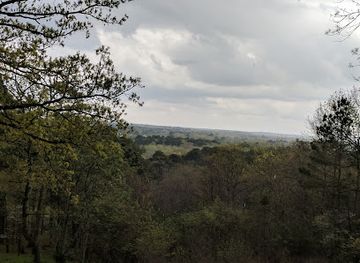 texas/piney-woods/landmark/davey-dogwood-park