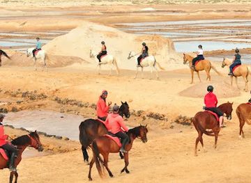 cabo-verde/assomada/landmark/santa-marilha-horse-excursions