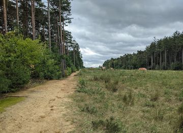 belgium/kempense-heuvelrug/landmark/provinciaal-groendomein-hoge-mouw