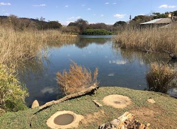 south-africa/pretoria/landmark/austin-roberts-bird-sanctuary