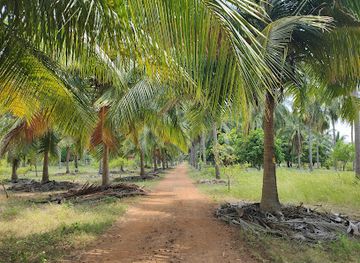 sri-lanka/eastern-province/landmark/coconut-cultural-park