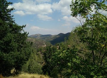 cyprus/machairas-forest/landmark/national-forest-park-of-machairas